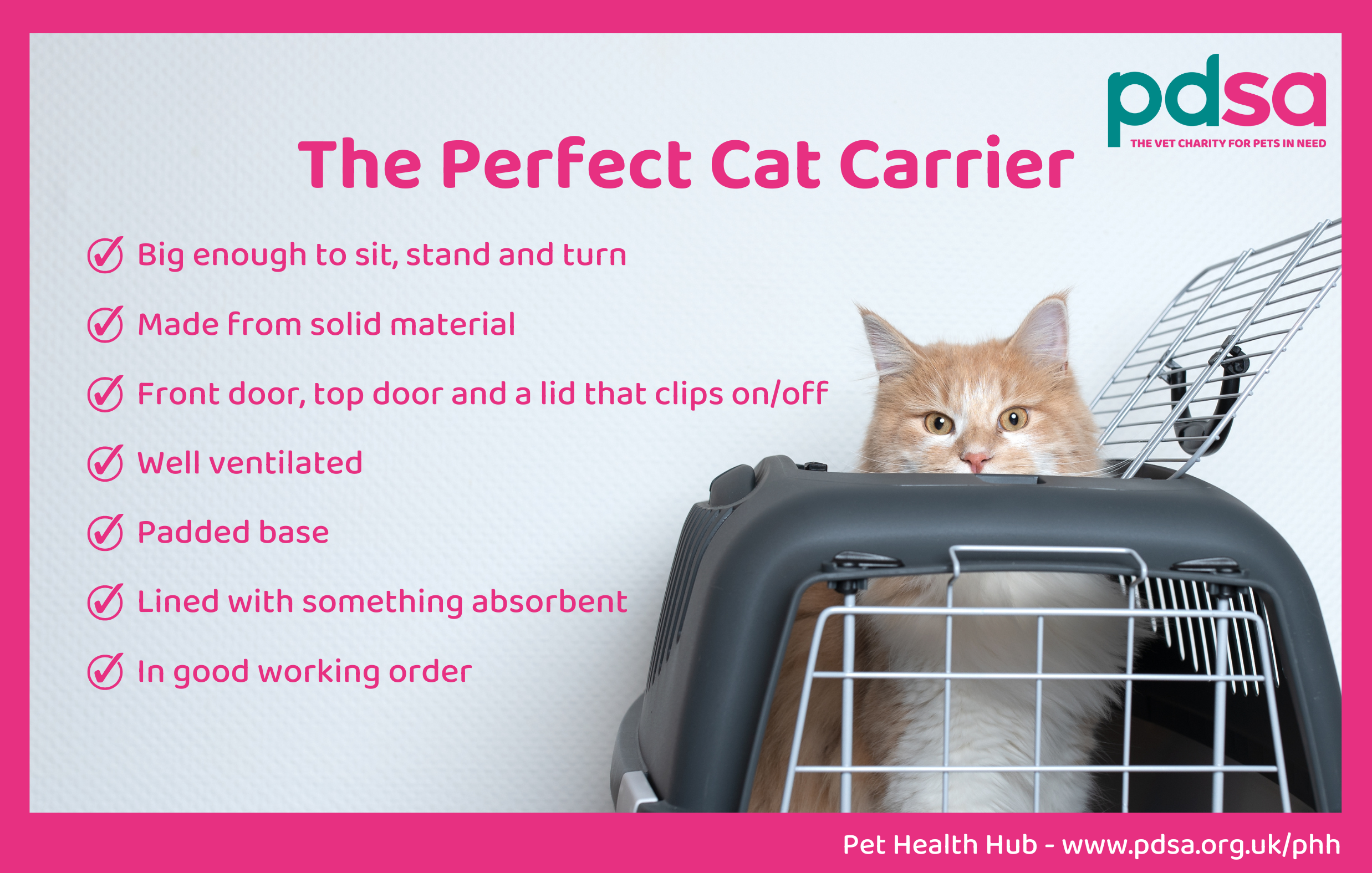 Why top opening cat carriers are the better choice for your cat.