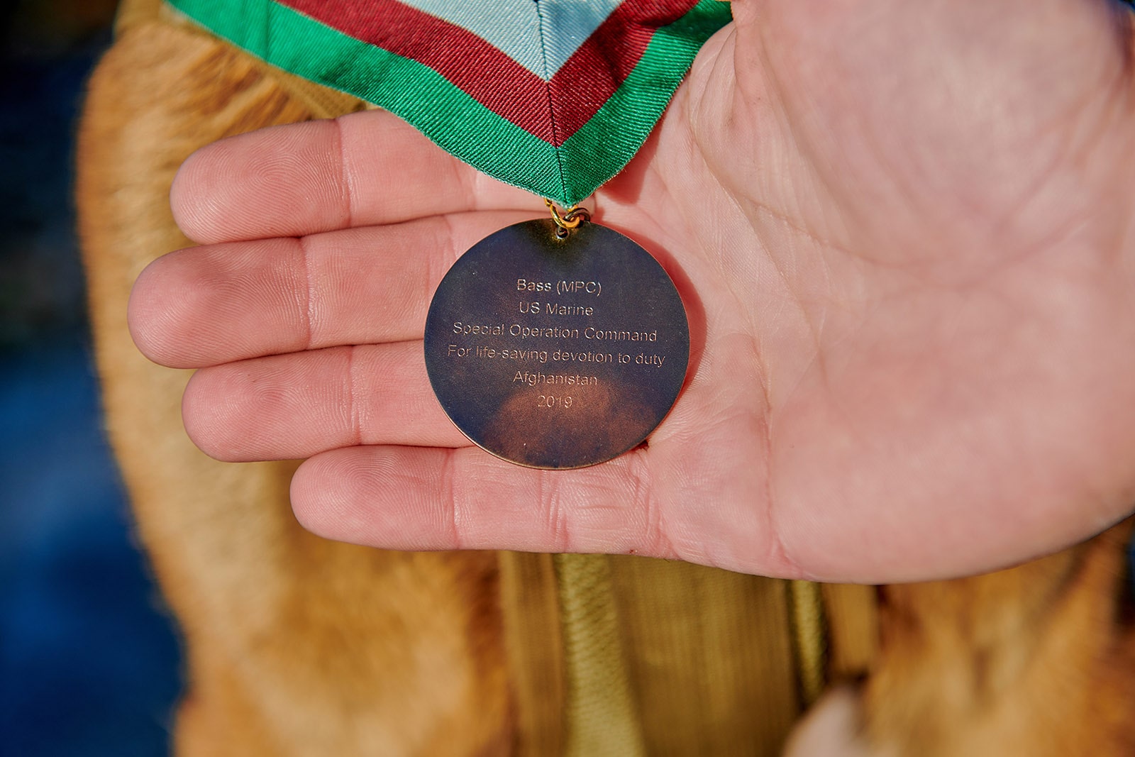 A photo of Bass' PDSA Dickin Medal, bearing the inscription 'for life-saving devotion to duty'