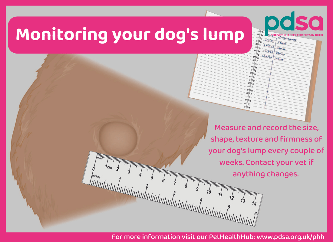 An illustration showing how to monitor your dog's lump