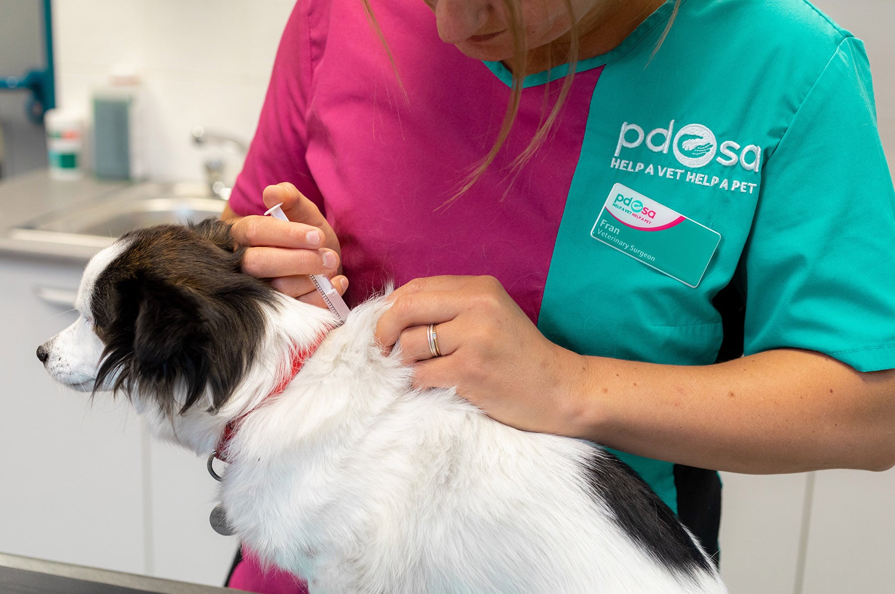 A photo of a dog receiving an injection from a PDSA vet