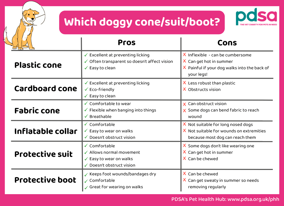A table listing the pros and cons of different kinds of doggy cone, suit, and boot