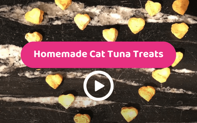 video-thumbnail-homemade-cat-tuna-treats
