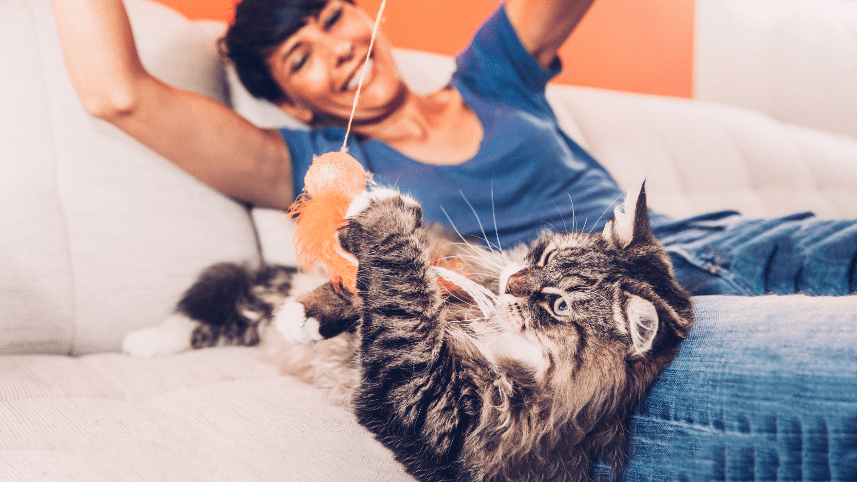 The Cost of Living and Pets PDSA