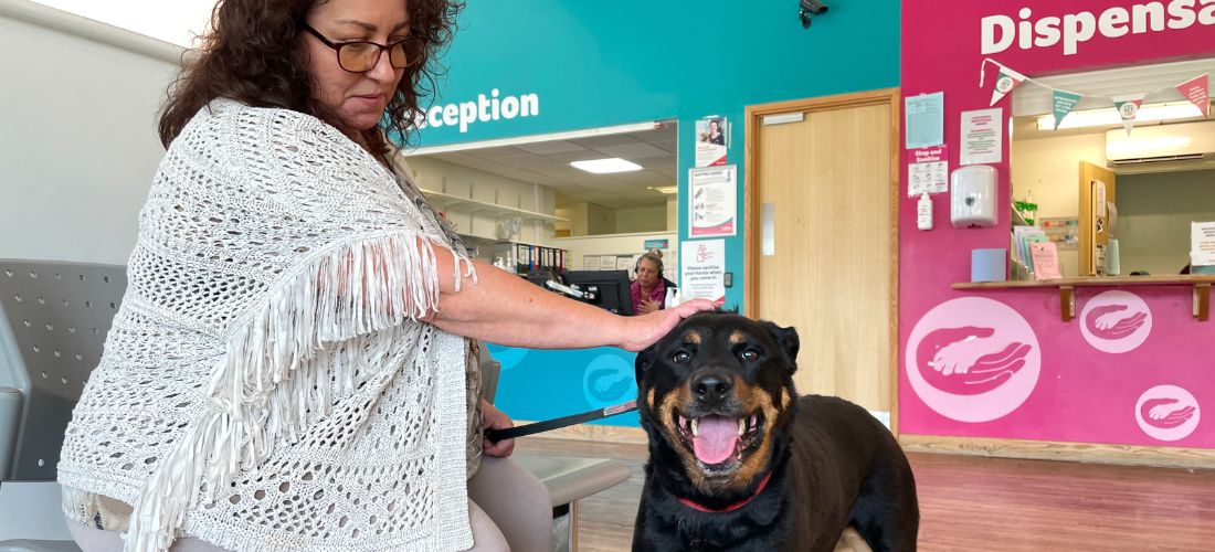 A photo of Tinkerbelle and her owner, Sarah, at the vets