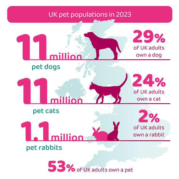 A graph of pet populations in the UK in 2023 - 11 million dogs, 11 million cats and 1.1 million rabbits