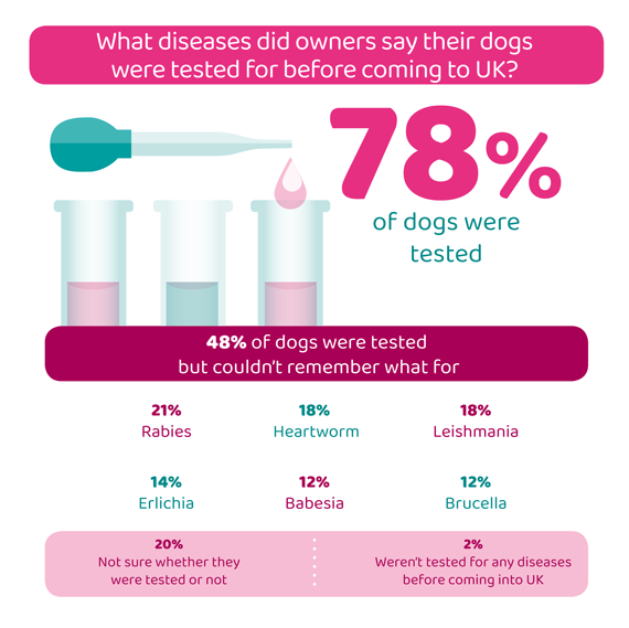 Infographic listing what diseases owners said their dogs were tested for before coming to the UK