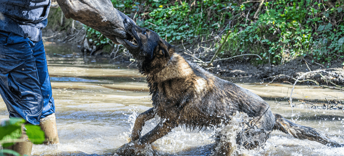 PD Kaiser in action