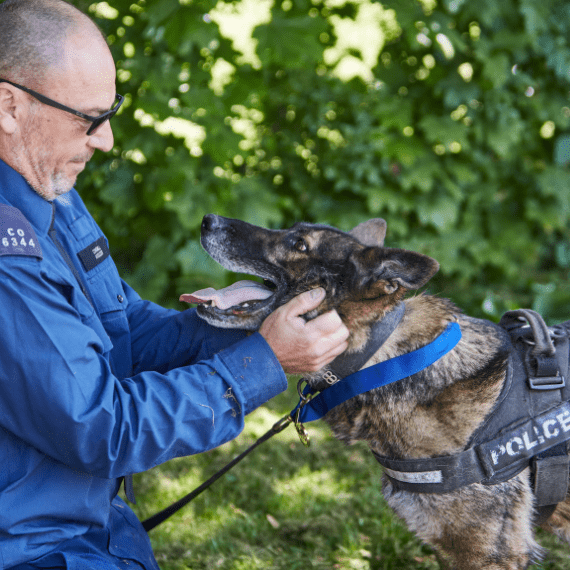 PDSA Gold Medal recipient PD Kaiser with his handler PC Mark Woolcott