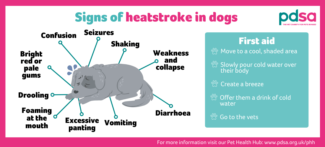 An illustration listing the signs of heat stroke and concise first aid instructions