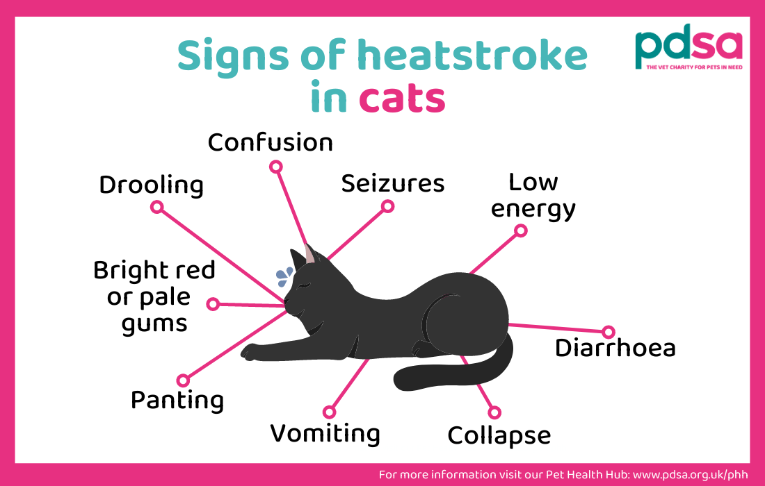 An illustration showing the signs of heatstroke