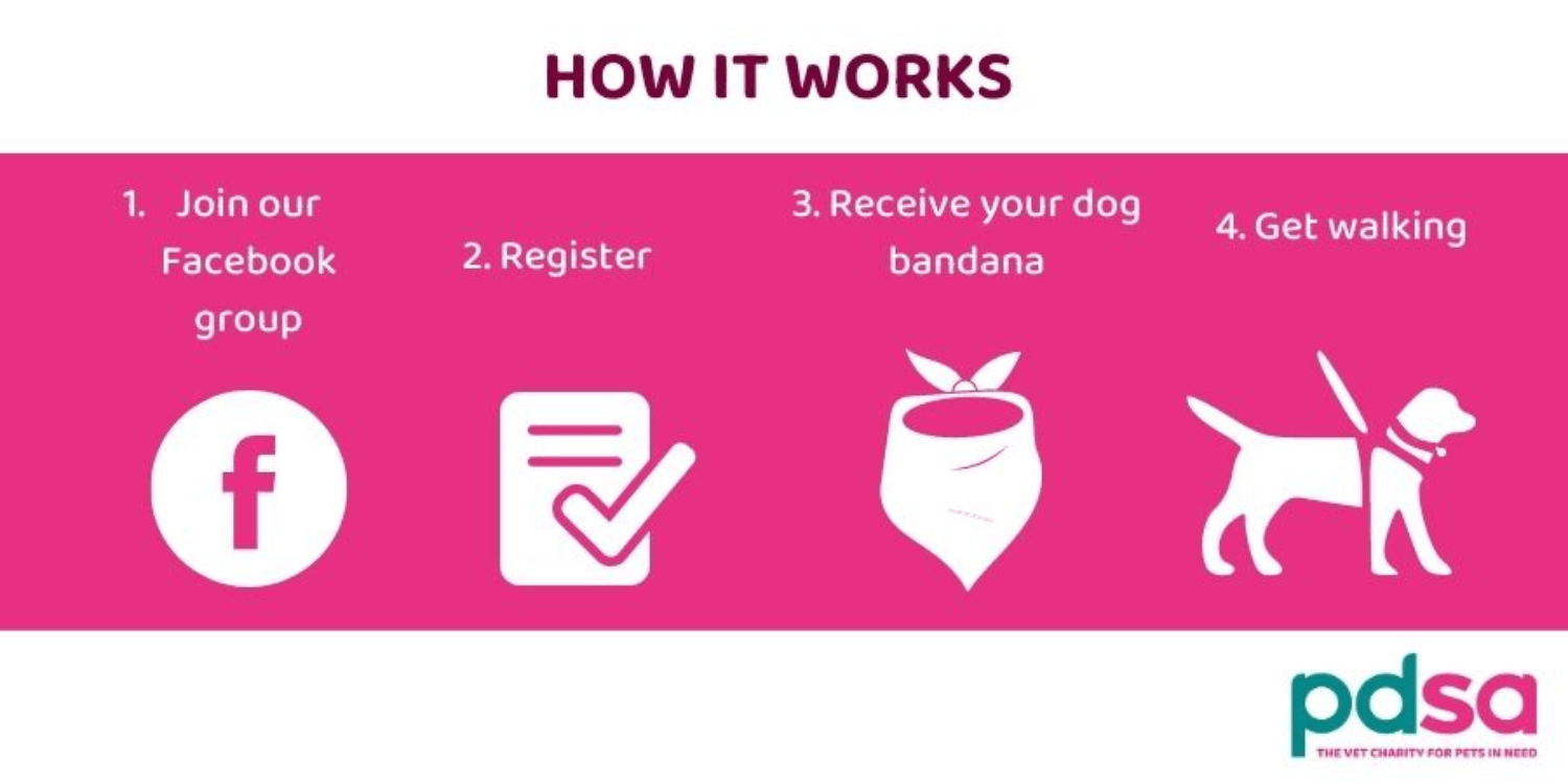 An illustration showing how to sign up for the PDSA October Walkathon