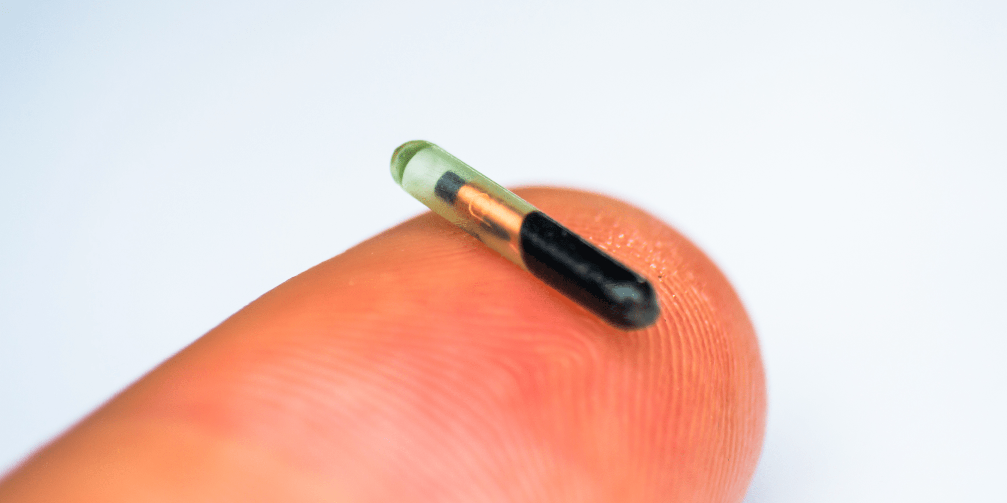 A close up photo of a microchip on a fingertip