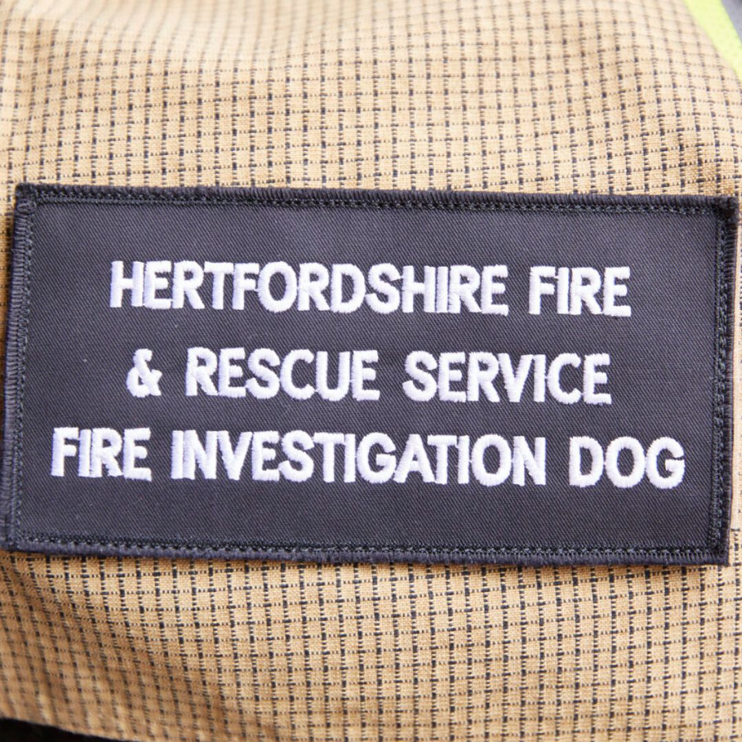 Photo of a patch stating 'Hertfordshire Fire & Rescue Service Fire Investigation Dog' stitched onto Reqs' work jacket