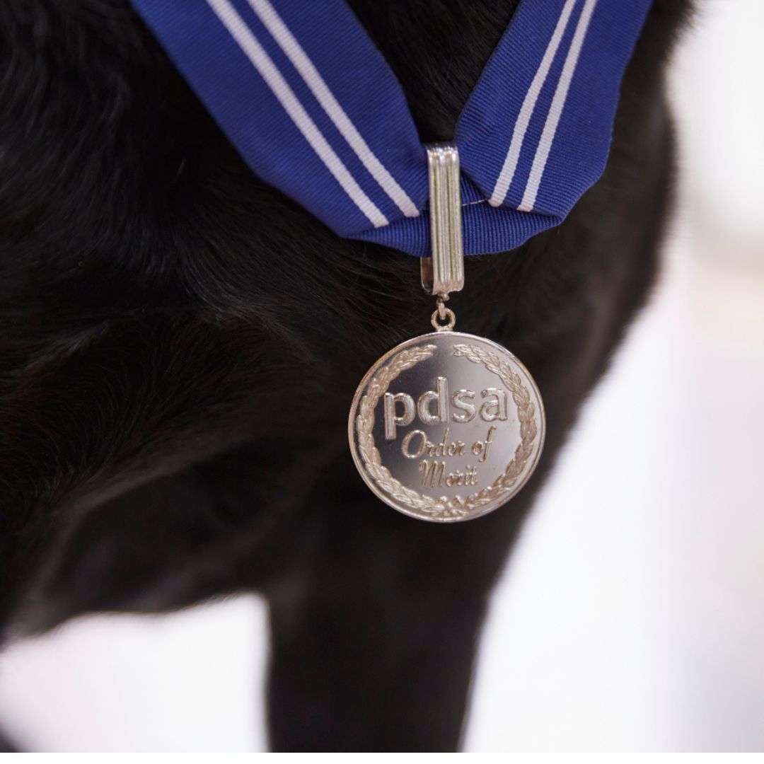 Reqs wearing his Order of Merit medal