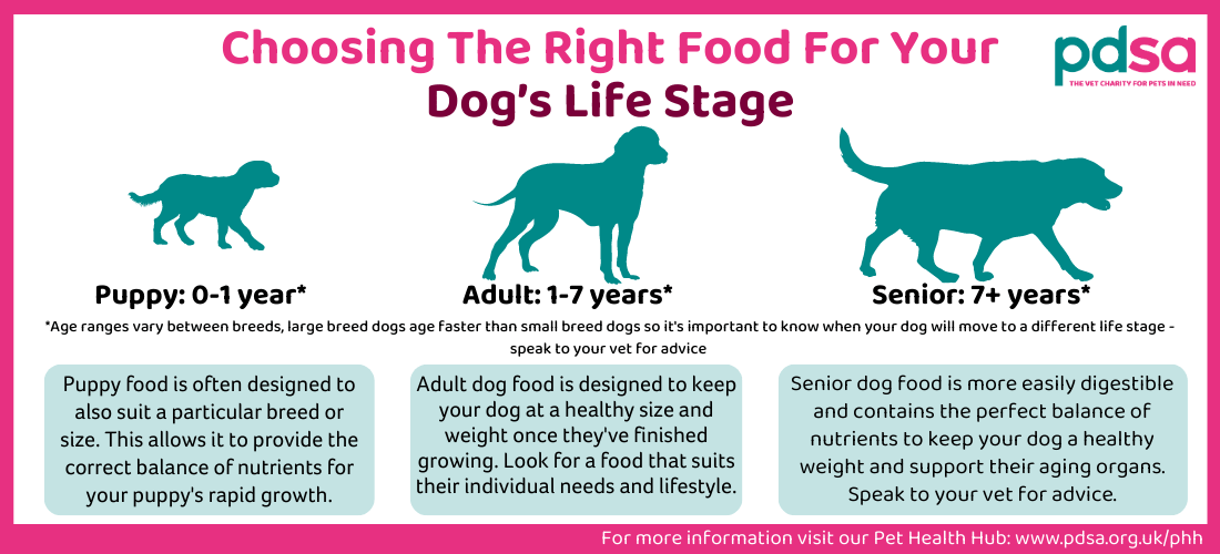 Choosing the right diet for your dog's age