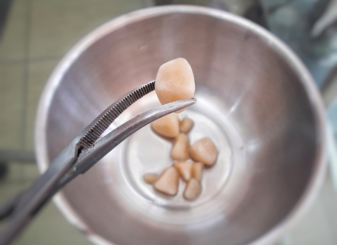 Bladder stones in dogs PDSA