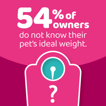 An infographic stating that 54% of owners do not know their pet's ideal weight