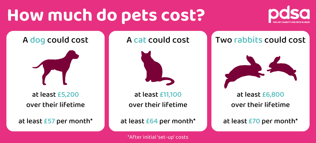 Infographic showing costs of cats, dogs and rabbits
