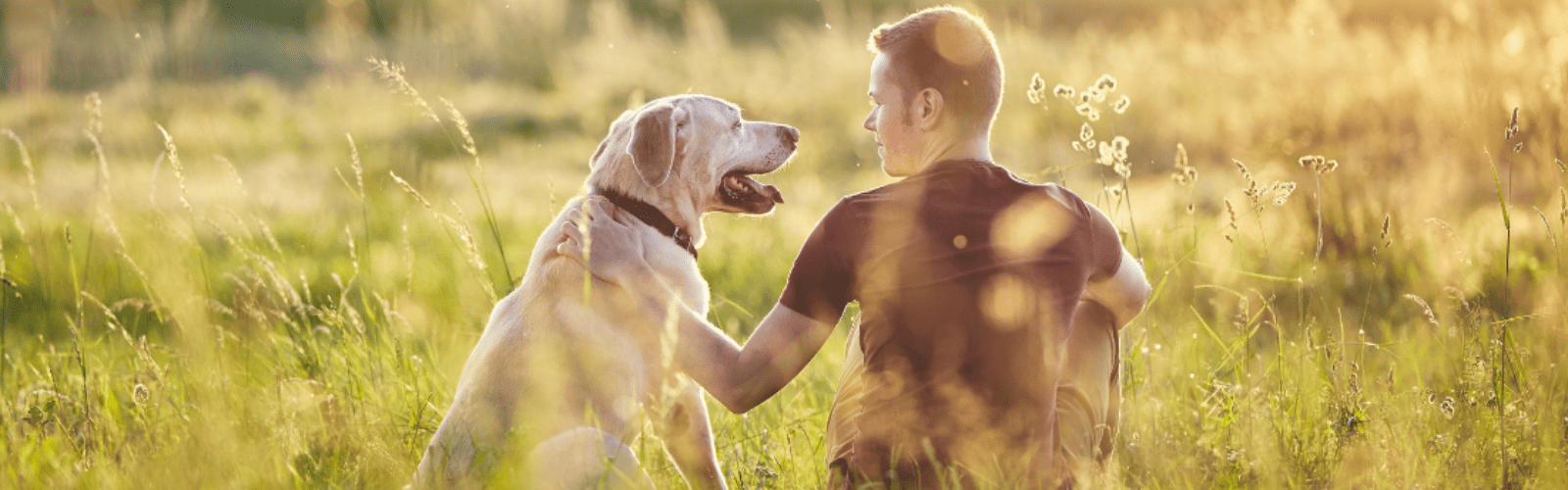 A cream-coloured dog sat next to a man in a field