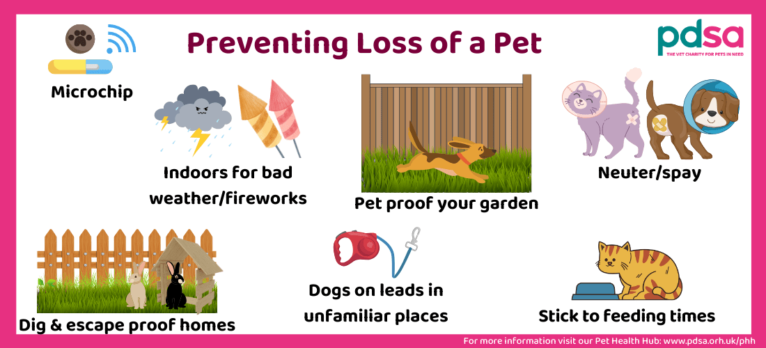 An infographic titled “Preventing Loss of a Pet” – with details steps on how to prevent your pet going missing
