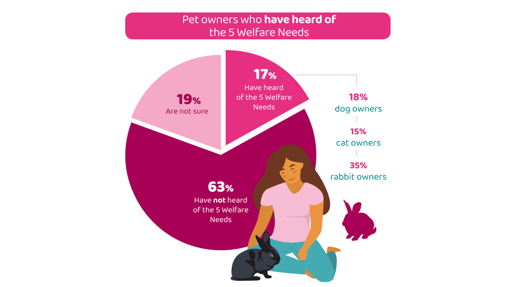 PAW Report - PDSA