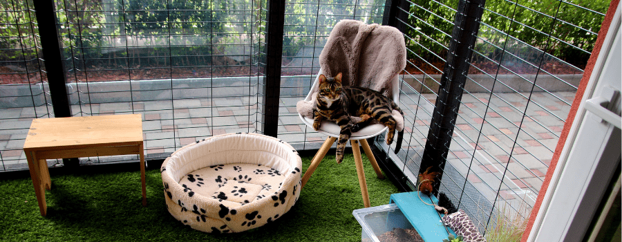 Premade catio online