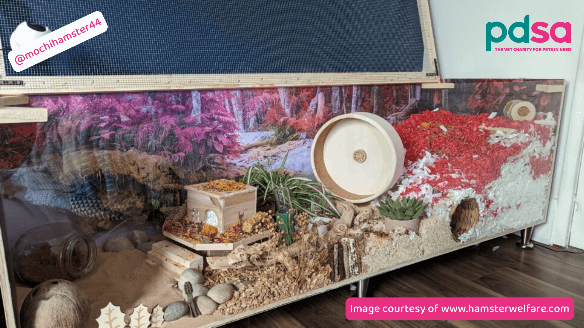 how to put together a hamster cage