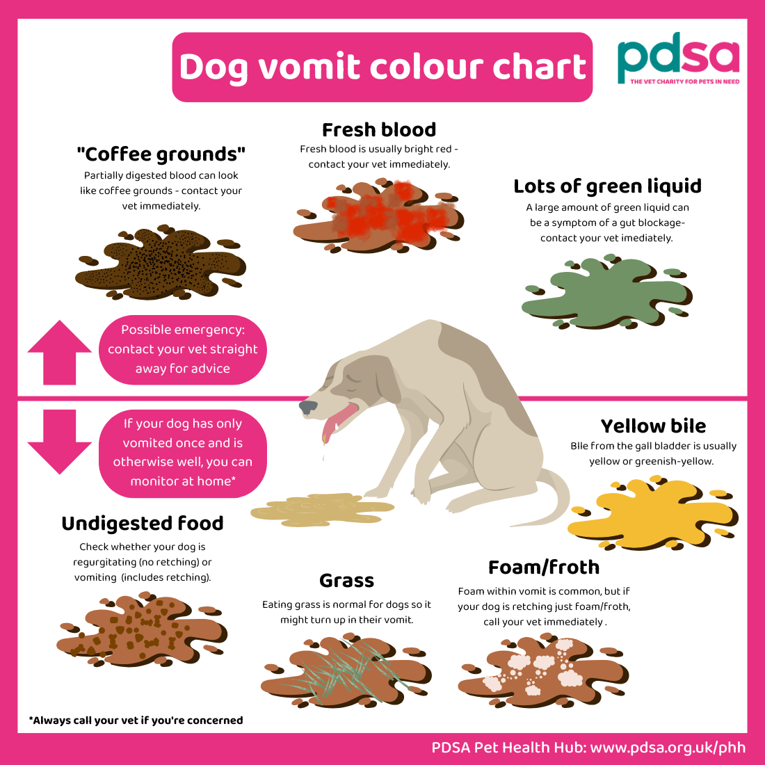 Dark Brown Vomit From Dog Discover The Ultimate Dog Vomit Color Dark Brown Vomit From Dog Discover The Ultimate Dog Vomit Color