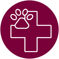 Pets treated