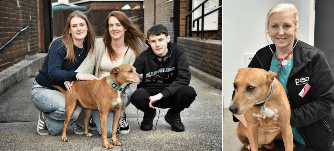 Photos of Lilly with her owners and a PDSA vet