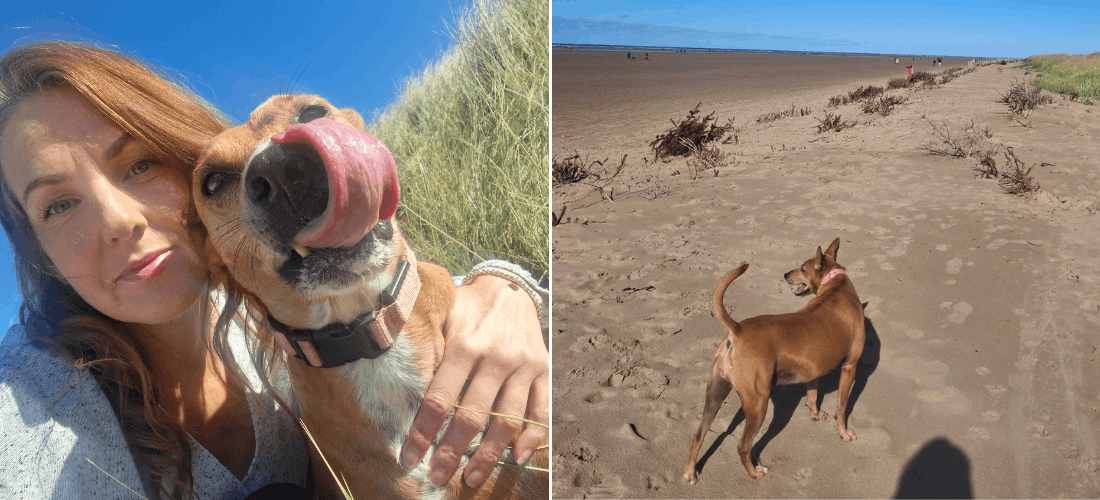 Photos of Lilly with her owner and recovering