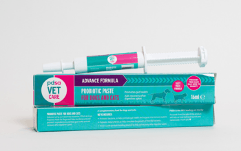 Probiotic paste for dogs