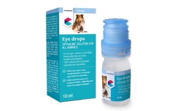 A photo of Eye Drop Solution