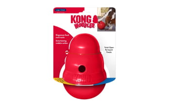 Kong dog toy