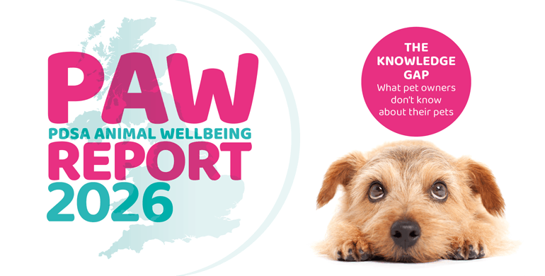 An image displaying the heading PAW Report 2026