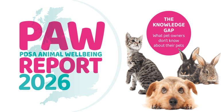 An image displaying the heading PAW Report 2026
