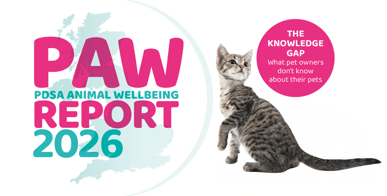 An image displaying the heading PAW Report 2026