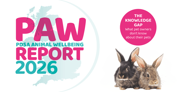 An image displaying the heading PAW Report 2026