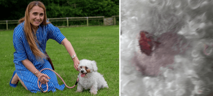 Filiz kneeling on the grass beside Cookie, a small white curly-haired dog, gently stroking her as they look towards the camera