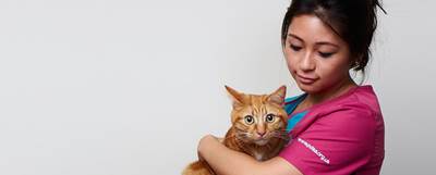 A PDSA Veteirnary Nurse with a ginger cat