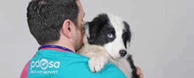Lucy dog with vet