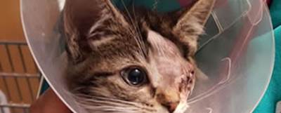 Odin Vaccinations campaign image
