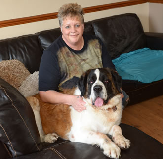 Bumble Bee the St Bernard on the sofa with her owner Lee