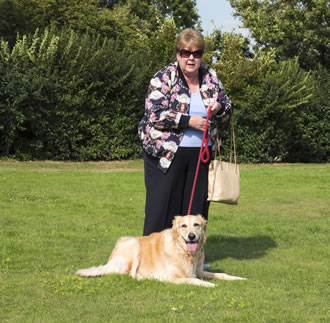 Poppy the Golden Retriever enjoying time in the garden with her owner Pam