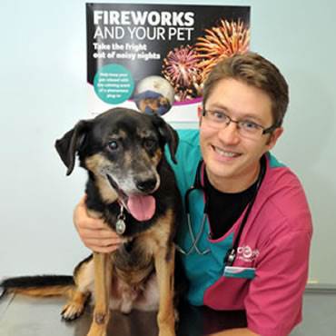 Zakk with PDSA senior vet Duncan Senior The charity is issuing fireworks advice to pet owners