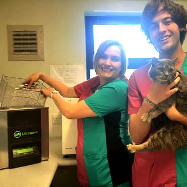 PDSA vet staff Daniel Day and Megan Kemp with Louie the cat and the new  ultrasonic cleaner