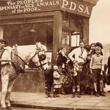 pdsa-dispensary.jpg