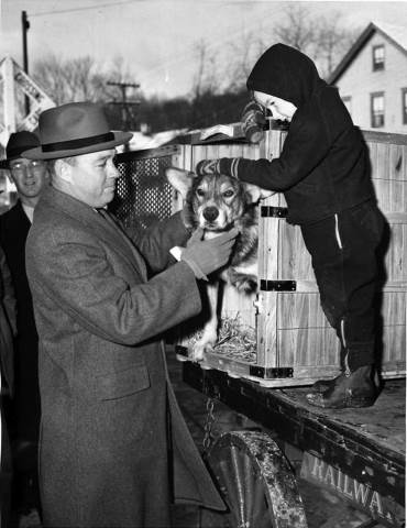 Chip returns home after serving in WWII