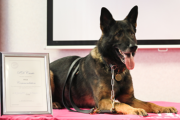 PD Canto receiving his PDSA Commendation