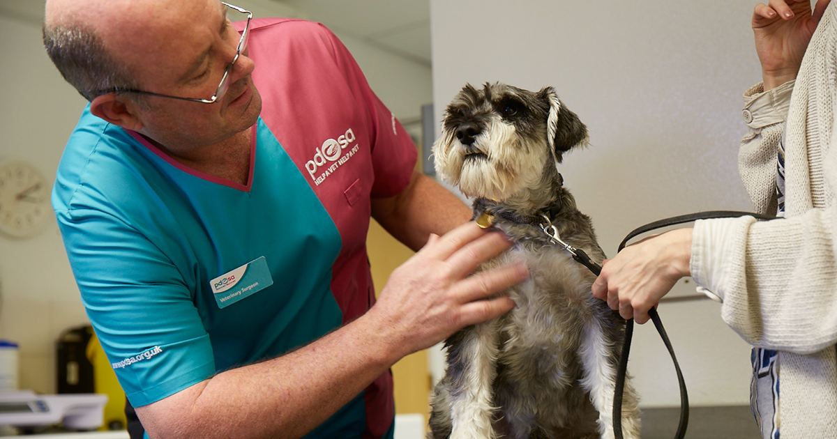 Emergency care for pets - PDSA